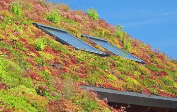 Crugmeer living roof systems